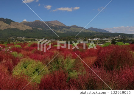 阿蘇山和掃帚 阿蘇山和掃帚 132919035