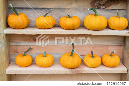 ripe pumpkins with autumn decor on wooden table in october ripe pumpkins with autumn decor on wooden table in october 132919067