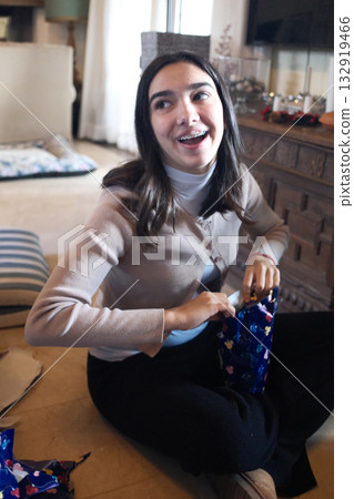 christmas objects decoration for a family celebration christmas objects decoration for a family celebration 132919466