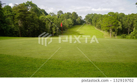 Green grass and woods on a golf field. View of Golf Course with beautiful putting green. 132919702