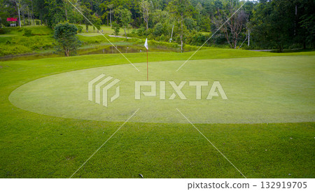 Green grass and woods on a golf field. View of Golf Course with beautiful putting green. Green grass and woods on a golf field. View of Golf Course with beautiful putting green. 132919705