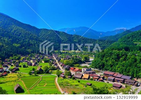 【岐阜縣】從鬱鬱蔥蔥的城山展望台眺望白川鄉（世界遺產） 132919999