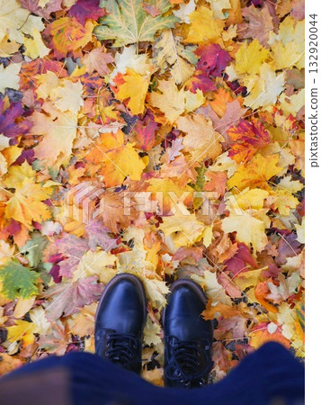Autumn in Berlin: Beautiful autumn leaves encountered during a walk 132920044