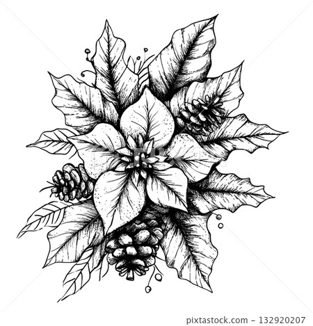 Hand-Drawn Christmas Floral Composition with Poinsettia and Pine Branches 132920207