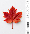Red Maple Leaf Isolated on White Background 132920426