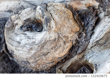 Close-up of textured wood grain with natural patterns and colors Close-up of textured wood grain with natural patterns and colors 132920675