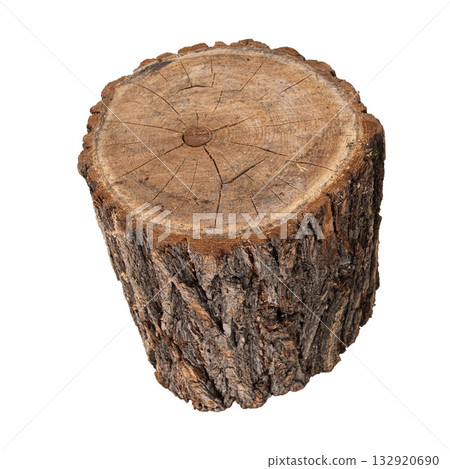 Natural wooden log stump with textured bark and circular growth rings White background Natural wooden log stump with textured bark and circular growth rings White background 132920690