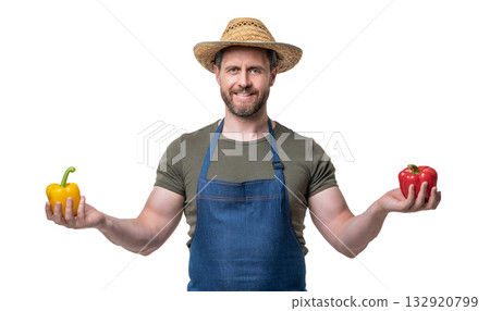 farm worker in apron and hat with sweet pepper vegetable isolated on white farm worker in apron and hat with sweet pepper vegetable isolated on white 132920799