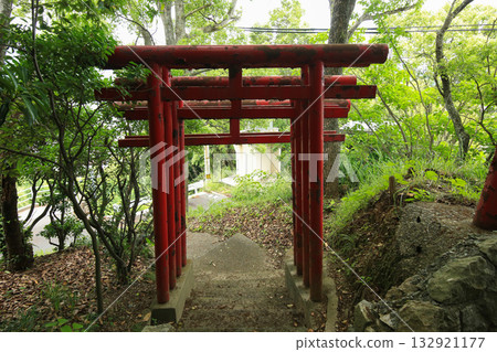 愛媛郡八幡濱市愛宕山禦書院的鳥居與長廊 132921177