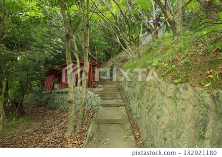 愛媛郡八幡濱市愛宕山禦書院的鳥居與長廊 132921180