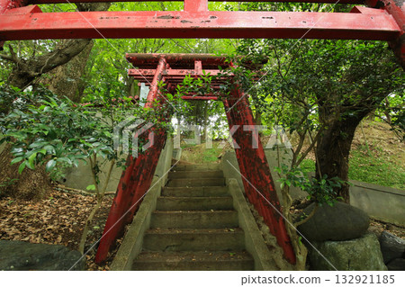 Torii gate and promenade at Atagosan Oshoin Temple, Yawatahama City, Ehime Prefecture 132921185