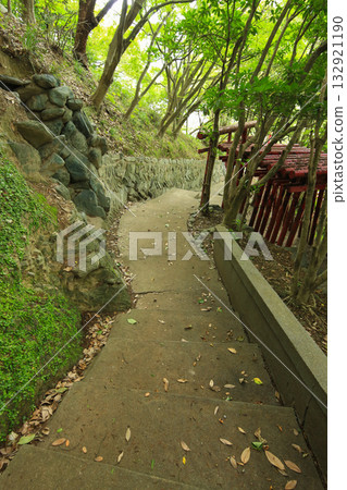 Torii gate and promenade at Atagosan Oshoin Temple, Yawatahama City, Ehime Prefecture Torii gate and promenade at Atagosan Oshoin Temple, Yawatahama City, Ehime Prefecture 132921190