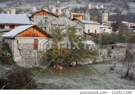 Rural life in a remote village. Cows are resting outside. 132921386