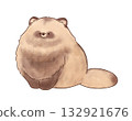 Sitting raccoon 132921676
