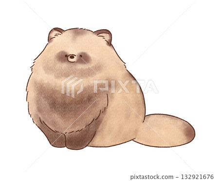 坐著的浣熊 坐著的浣熊 132921676