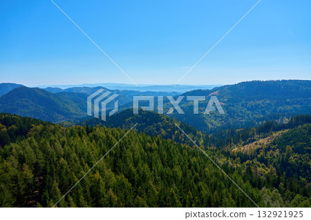 Panoramic mountain forest landscape under clear blue sky 132921925
