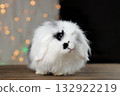 A small, black and white spotted lop-eared decorative rabbit of the Ram breed. The rabbit stands against a backdrop of multicolored garland lights. 132922219