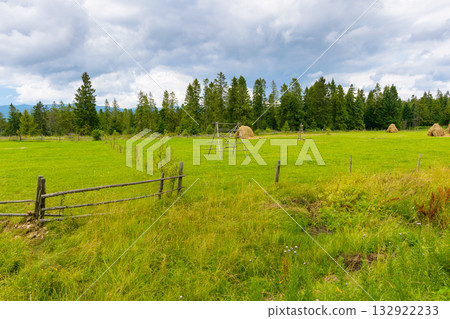 rural hay field near forest. green grass behind the wooden fence. dramatic cloudy weather in summer. organic farmland of lviv region. green environment rural hay field near forest. green grass behind the wooden fence. dramatic cloudy weather in summer. organic farmland of lviv region. green environment 132922233
