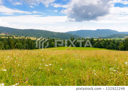 mountainous countryside in summer. forest and green field on rolling hills. landscape under blue sky with clouds. beautiful view of rural scenery. journey through scenic carpathian valley on sunny day mountainous countryside in summer. forest and green field on rolling hills. landscape under blue sky with clouds. beautiful view of rural scenery. journey through scenic carpathian valley on sunny day 132922246