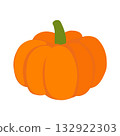 Pumpkin hand drawn doodle illustration on white background. Organic eco healthy food. Flat vector design element 132922303