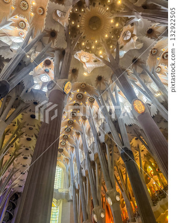 The interior ceiling of the Basilica de la Sagrada Familia, showcasing Antoni Gaudis signature organic design. The interior ceiling of the Basilica de la Sagrada Familia, showcasing Antoni Gaudis signature organic design. 132922505