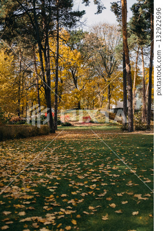 Scenic park with tall trees, yellow autumn foliage, and a leaf-covered grassy path. Climate seasonality, urban nature access, slow living, restorative landscapes 132922696