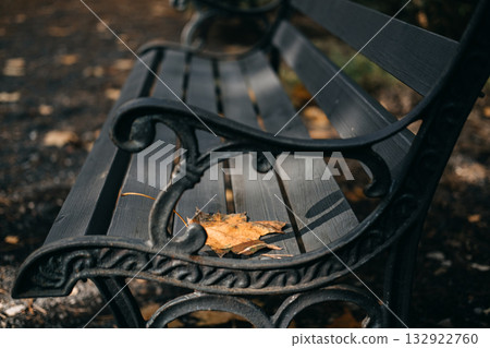 Close-up of an ornate black park bench with a single dry maple leaf resting on the wooden slats. Urban solitude, mental health awareness, seasonal affective disorder, emotional quietness Close-up of an ornate black park bench with a single dry maple leaf resting on the wooden slats. Urban solitude, mental health awareness, seasonal affective disorder, emotional quietness 132922760