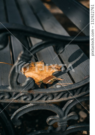 Close-up of an ornate black park bench with a single dry maple leaf resting on the wooden slats. Urban solitude, mental health awareness, seasonal affective disorder, emotional quietness Close-up of an ornate black park bench with a single dry maple leaf resting on the wooden slats. Urban solitude, mental health awareness, seasonal affective disorder, emotional quietness 132922761