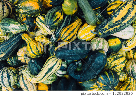 Close-up of assorted ornamental gourds in varied shapes, textures, and colors piled together. Natural harvest textures, food-as-decor concepts, sustainable seasonal styling, waste-free produce display 132922920