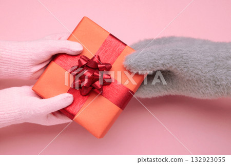 Female hands in warm mittens gives a gift children's hand in gloves on pink background Female hands in warm mittens gives a gift children's hand in gloves on pink background 132923055