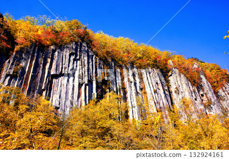 Autumn leaves of Tianjin 132924161