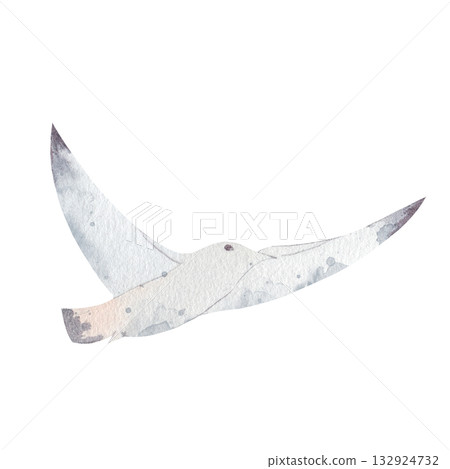 Hand drawn watercolor illustration of white seagull in flight. elegant bird with white feathers, black beak, isolated on white background. symbolic representation of freedom for nature, coastal theme Hand drawn watercolor illustration of white seagull in flight. elegant bird with white feathers, black beak, isolated on white background. symbolic representation of freedom for nature, coastal theme 132924732