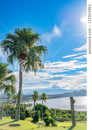 Kyushu, Kagoshima Prefecture, Kaimon Mountain Foothills Natural Park (Tokara Horse Ranch) 132924962