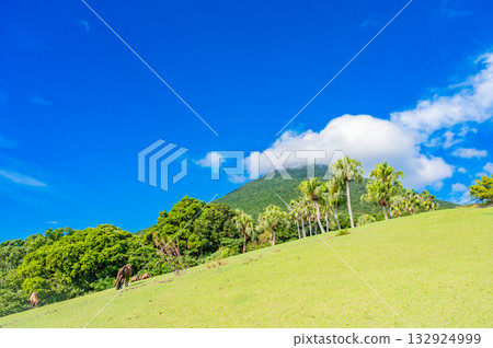 九州鹿兒島縣開門山麓自然公園（吐噶喇馬場） 132924999