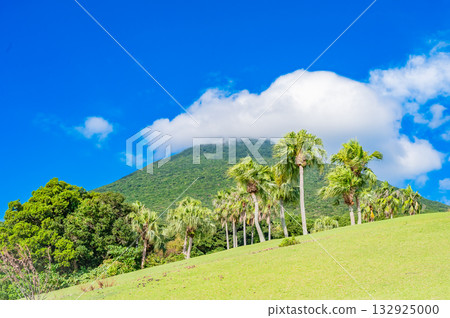 Kyushu, Kagoshima Prefecture, Kaimon Mountain Foothills Natural Park (Tokara Horse Ranch) Kyushu, Kagoshima Prefecture, Kaimon Mountain Foothills Natural Park (Tokara Horse Ranch) 132925000
