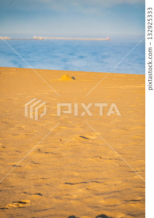 鳥取縣，鳥取沙丘 132925333