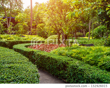Luxury landscape design of the tropical garden. Luxury landscape design of the tropical garden. 132926015
