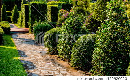 Luxury landscape design of the tropical garden.  132926020
