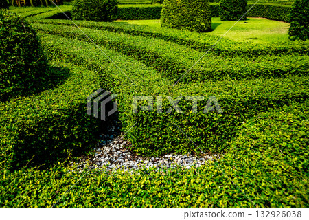 Luxury landscape design of the tropical garden.  132926038