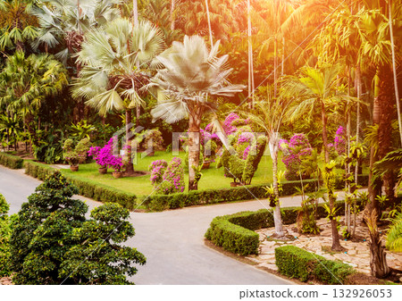 Luxury landscape design of the tropical garden. Luxury landscape design of the tropical garden. 132926053