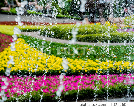 Luxury landscape design of the tropical garden. 132926061