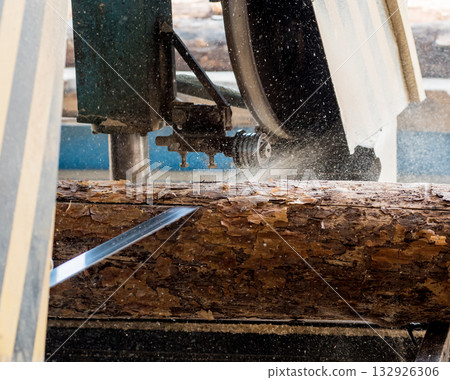 Modern sawmill. Industry sawing boards from logs 132926306