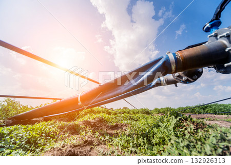 Drip irrigation system. Water saving drip irrigation system Drip irrigation system. Water saving drip irrigation system 132926313