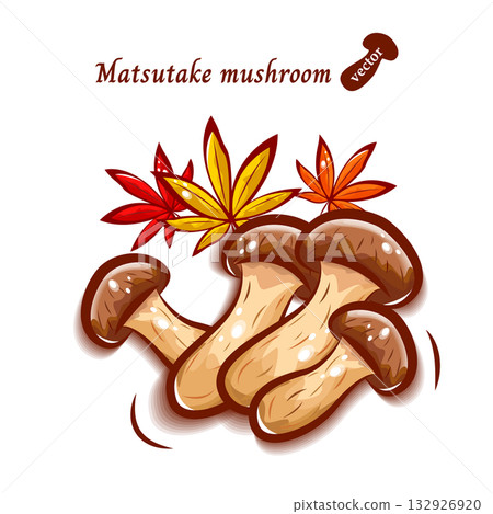 Cute pop illustration of matsutake mushrooms and autumn leaves | Autumn flavors mushrooms Cute pop illustration of matsutake mushrooms and autumn leaves | Autumn flavors mushrooms 132926920