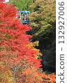 Watarase Keikoku Railway "In the background of bright red maple trees and the Daini Watarase River Bridge" 132927006