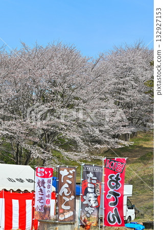 富山千本櫻盛開。春日山村。東秩父村。 132927153