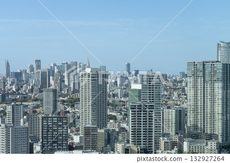 Urban landscape: Shinjuku and Shibuya area on a sunny day 132927264