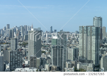 Urban landscape: Shinjuku and Shibuya area on a sunny day Urban landscape: Shinjuku and Shibuya area on a sunny day 132927265