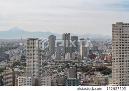 Urban landscape: Tokyo city and Mt. Fuji on a sunny day Urban landscape: Tokyo city and Mt. Fuji on a sunny day 132927505