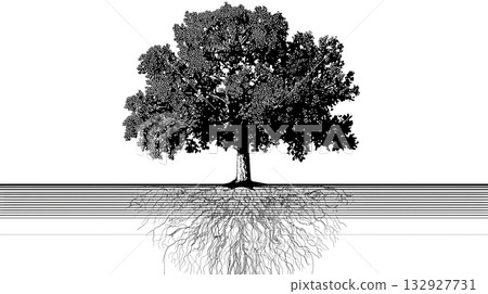 極簡主義哲學插圖，描繪了一棵樹及其根系，象徵成長和根基。 132927731